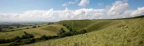 They vary in size and complexity but all are hilltops defended by massive ramparts and ditches and enclose roundhouse settlements. The Saxons took control of Dorset by the late 7 th century.
