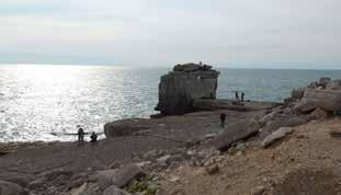 Purbeck, with its chalk and limestone rocks, has a huge range of places for naturalists to visit.