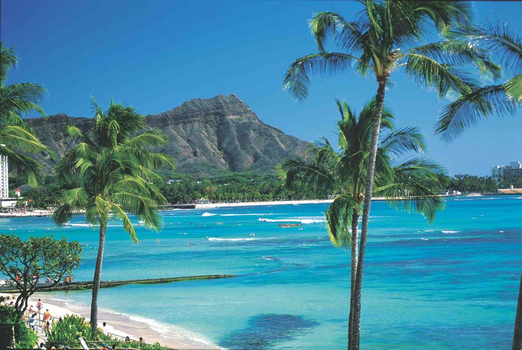Hawaii CruiseTour January 17-27, 2019 Save $200! Book by May 31 & Save! Explore Hawaii like never before.