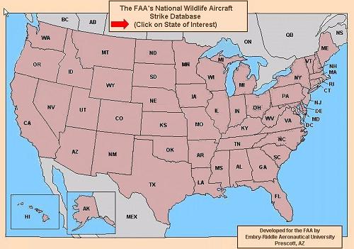 Authorized FAA personnel may select any of the 50 states, PI, PR or the VI from a US Map by State as shown in Figure 15.