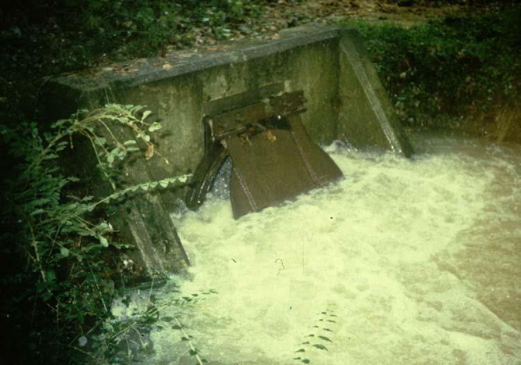 Sanitary Sewer Overflow, 5-Mile