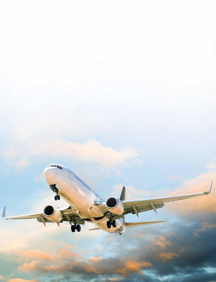 Airline Solutions beyond Moving standards How Low Cost Carriers can achieve