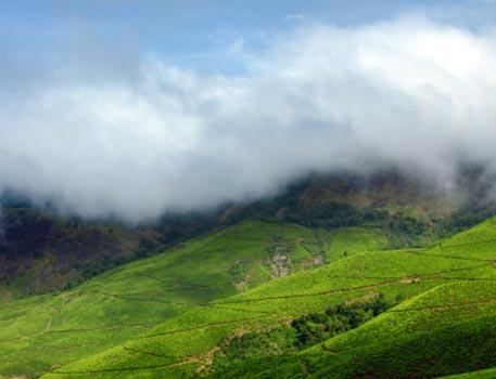 Day 3 Munnar Activities - Included in your trip Embark on a sightseeing tour of Munnar (Private).