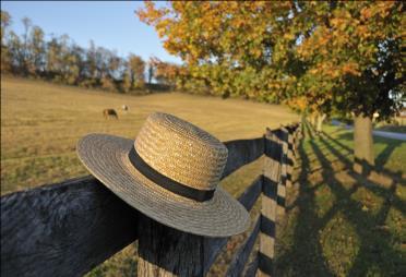 #9 Lancaster, Come with us to experience the beauty of the Fall foliage as we travel through Amish