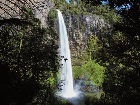 Perfect for families, the walk to Bridal Veil Falls is an easy 10 minutes through native bush, to two viewing platforms, both providing stunning vistas and ample photo opportunities of the plunging