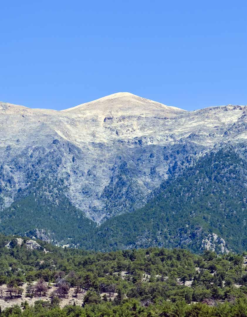 15 THE ADVANTAGE Our Land : The Cretan White Mountains The Cretan White Mountains, are comprised of enchanting high peaks, gorges and countless caves.