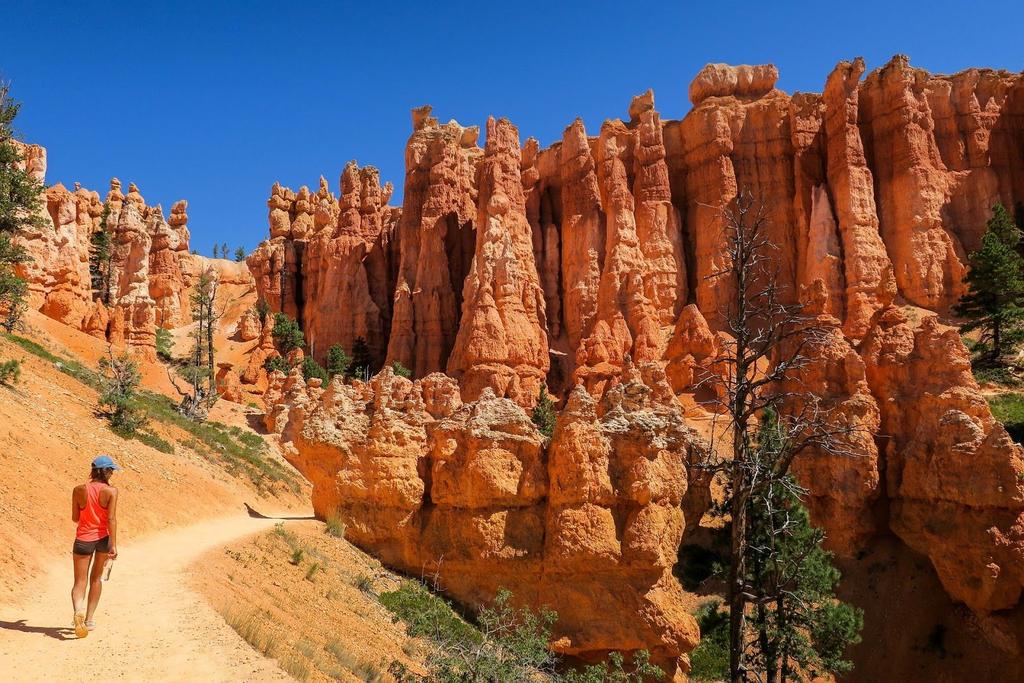 Premium Lodging: The Lodge at Bryce Canyon: Bryce Canyon, UT This morning we ll make the long scenic drive to Bryce Canyon National Park a wondrous land of pines, pinnacles and oddly sculpted