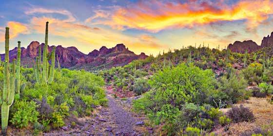 Optional Pre-Tour Scottsdale, AZ Admire the dramatic desert landscape, colorful