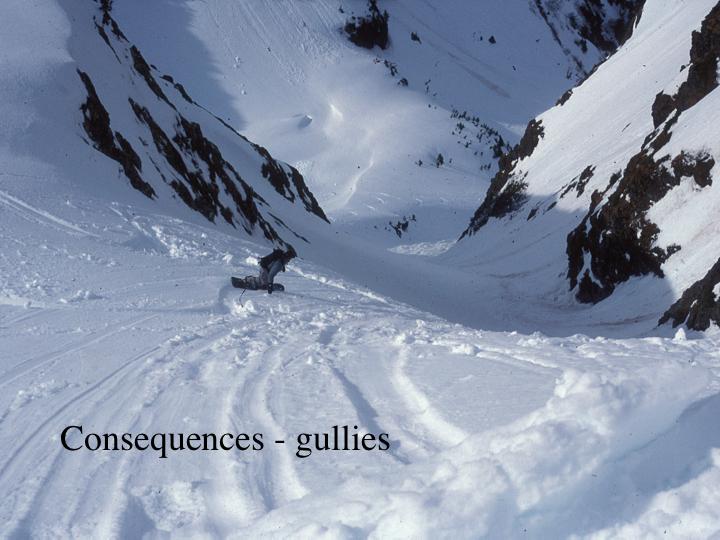 Consequences - Bad Consequence Spots and Terrain Traps Trees - the leading cause of traumatic avalanche injury and death in North America.