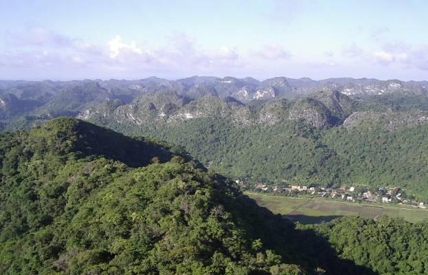 tropical rainforest on limestone island karst
