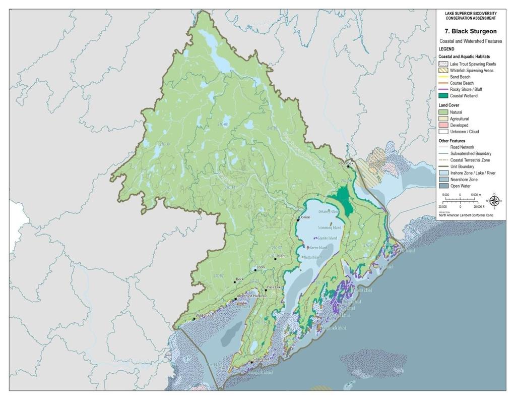 of the regional unit, along with several Important Habitat Sites (Lake Superior Binational Program Habitat Committee 2006).