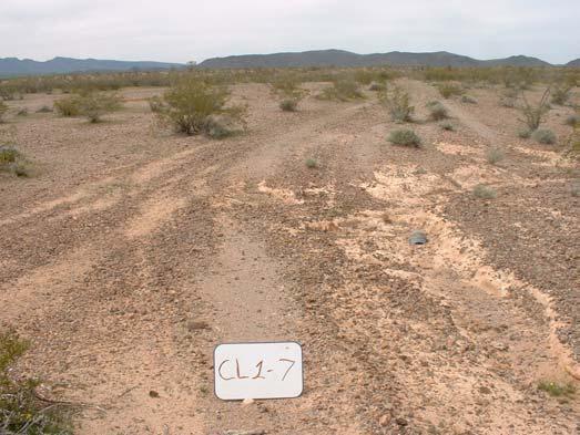 CL-1-7: Worst erosion, 8 deep. Direction: S CL-1-8: Average conditions on route 3, overgrown.