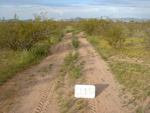 93 miles Construction Type: User created Campsites: 0 Vehicle Type: 4WD Erosion: N/A Vegetation Present: bare soil > 50% of surface Other Impacts: