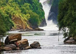 travel trade to meet network opportunities in Uganda s tourism industry and conduct business under one roof.