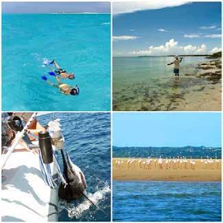 Deep Sea fishing, snorkeling or diving Fishing off the beach Wildlife walks and bird watching Beach walks A