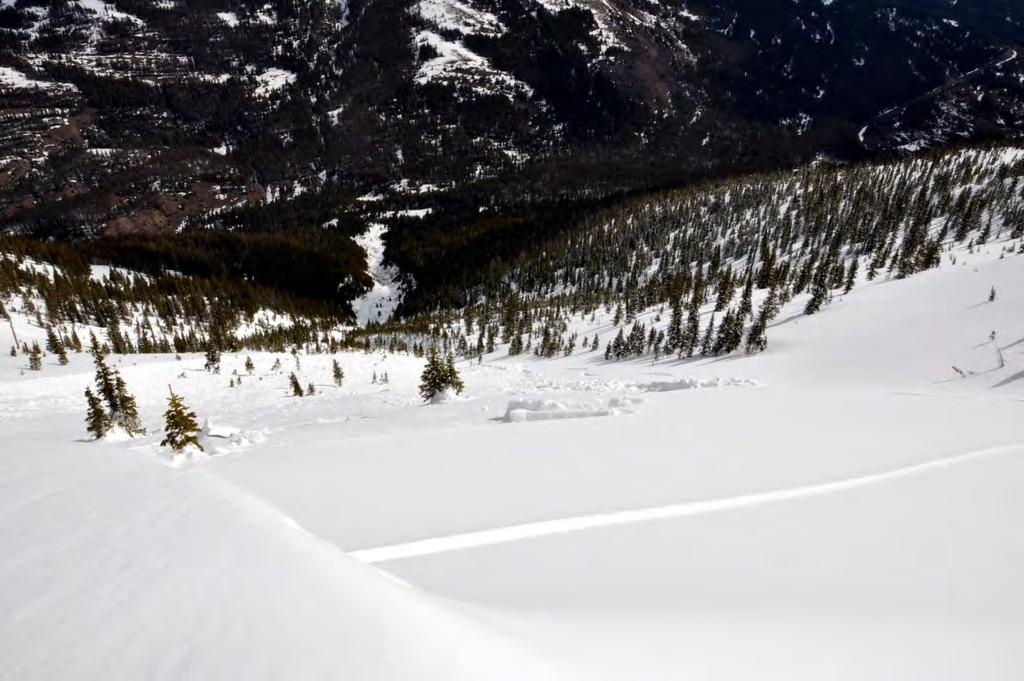 Figure 2: Looking down the avalanche path