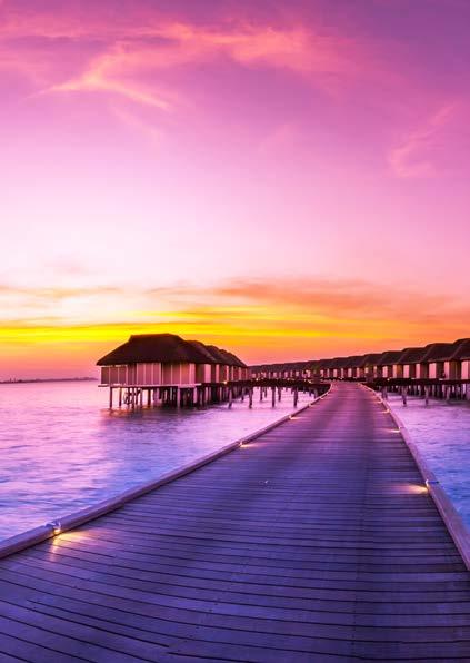 Maldives Reconnect in the paradise of the Maldives The Maldives comprises of 1,190 private islands surrounded by exquisite coral reefs and rich exotic marine life.
