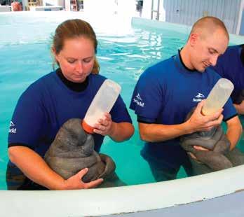 SeaWorld is a global leader in animal care with world-class standards,