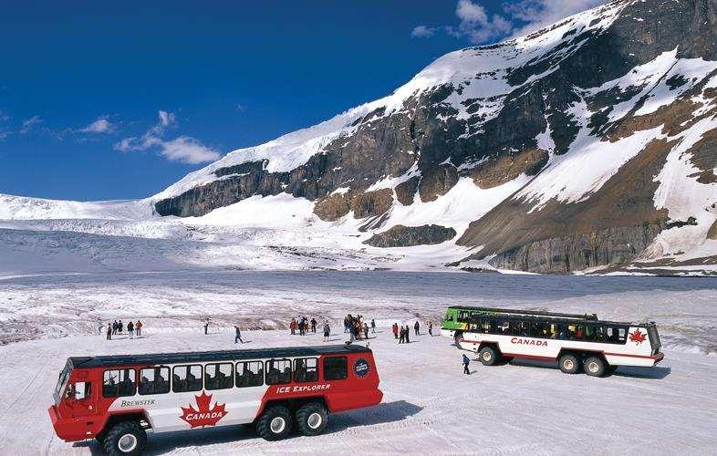 Traversing alpine meadows on your private guided tour, you ll discover the park from inside your custom photo vehicle.