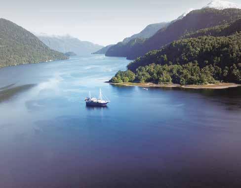 Fiordland or Stewart Island, delving into the rich natural and