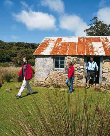 During the cruise pass Ulva Island (a predator-free sanctuary) and learn about Stewart Island's rich history.