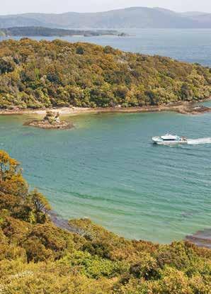 guide, max 16 per night) Enjoy a leisurely cruise of beautiful Paterson Inlet, viewing unspoilt beaches, hidden coves, sealife and exploring the 'not-to-be-missed' Ulva Island Birdlife Sanctuary.