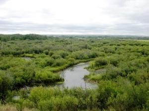 Ribstone Creek Heritage Rangeland Natural Area Established for its high ecological values Diverse complex of sand plains, active dunes, calcerous fens and