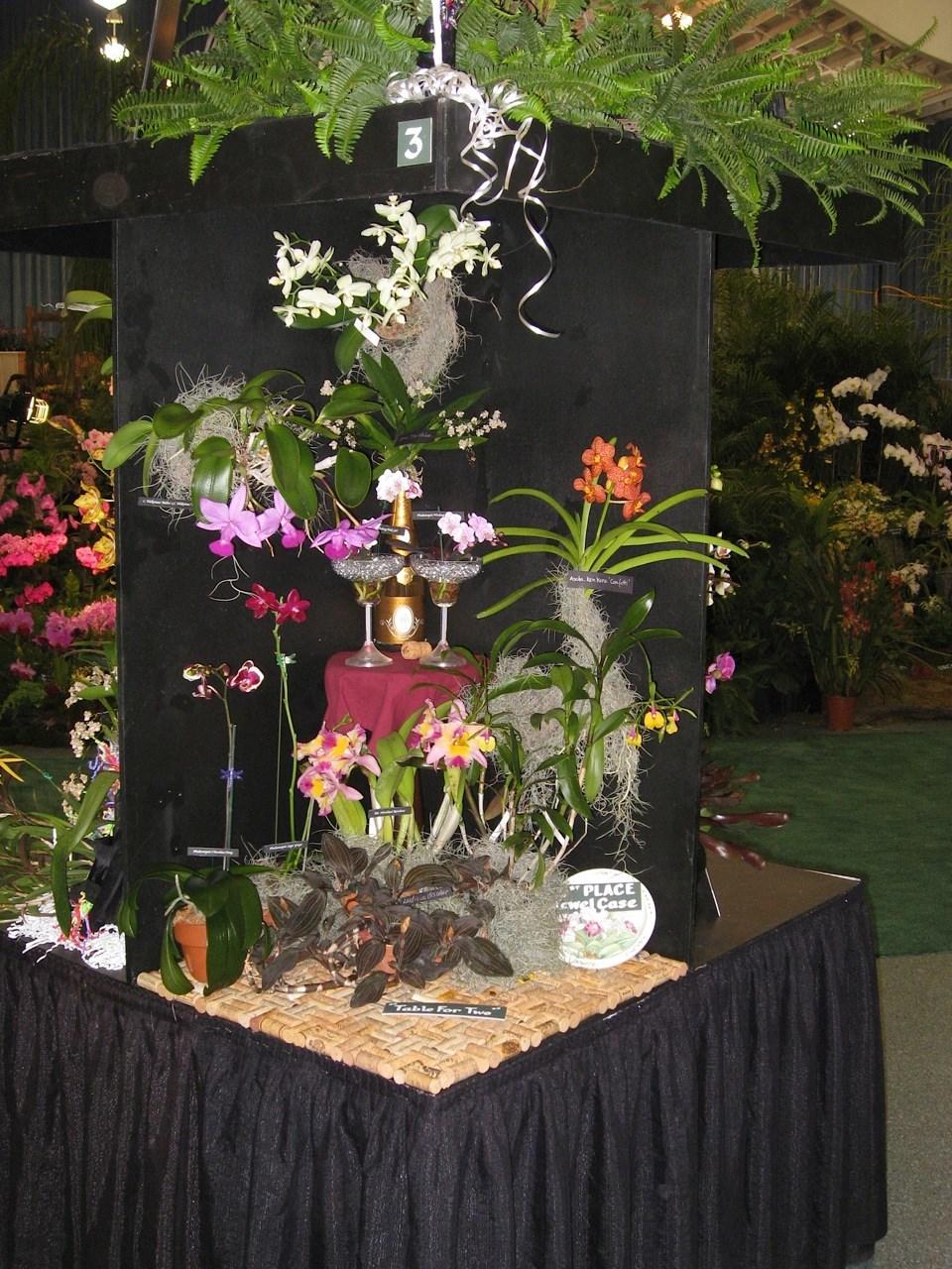 for best Commercial Grower's Orchid Flower.