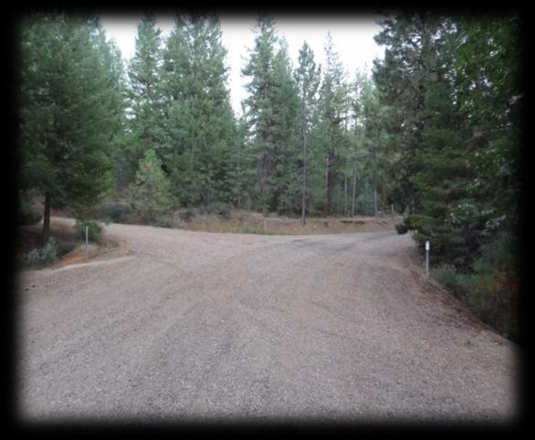 Stay on this old USFS road until you return to the beginning of the loop. You re Done!