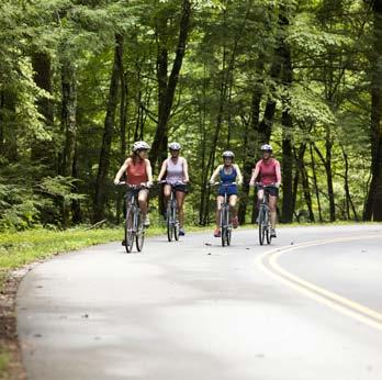 Or if you seek a more leisurely pace and comfortable sightseeing, try our Trek hybrid bikes. We will help you find your favorite distance 5, 20 or 60 miles and your favorite route.