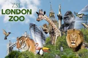 London Zoo Is the world's oldest scientific zoo.