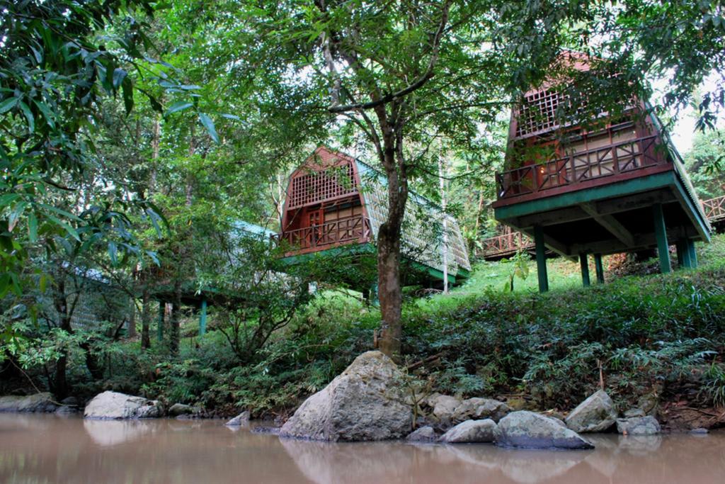 SANDAKAN SEPILOK NATURE RESORT Within walking distance from the world-famous Sepilok Orang Utan Rehabilitation Centre, deep in a forest of tropical orchids and towering trees, this charming resort