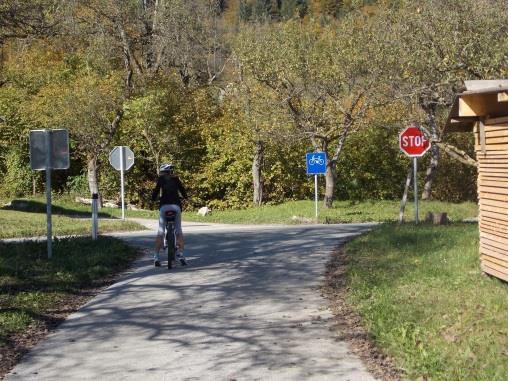 Slika 46: Vegetacija zmanjšuje preglednost v križišču regionalne ceste in kolesarske povezave Vir: Lasten (21. 10.