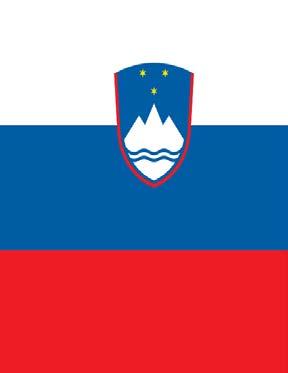 30 Partnerji dogodka: Javna agencija SPIRIT Slovenija - sektor za spodbujanje internacionalizacije in tujih neposrednih investicij; SID, prva kreditna zavarovalnica d.d., in drugi partnerji.