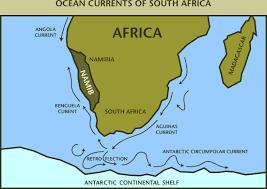 Ocean currents are key ecosystem and economic drivers Warm Agulhas current flows