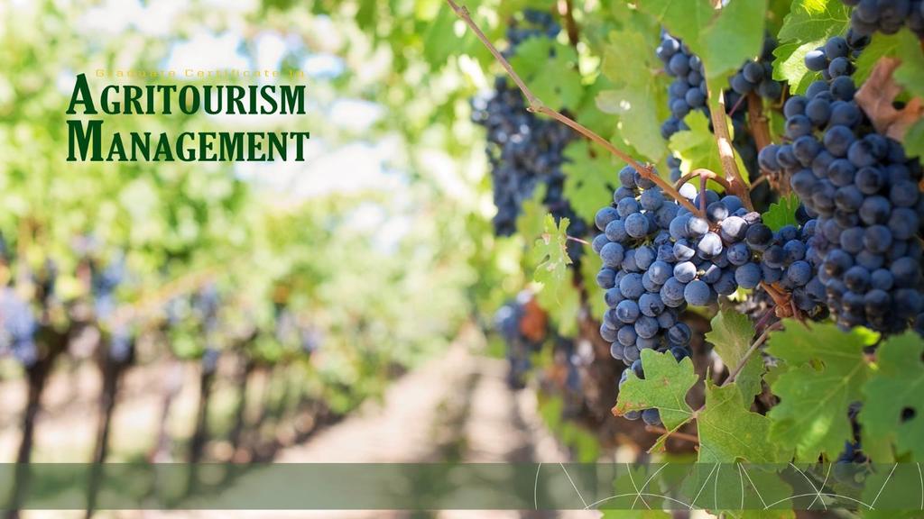 Course 1: Overview and Trends of Agritourism Management Course 2: Agritourism