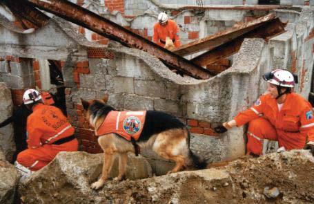 one course per year)   Rescue dog handlers