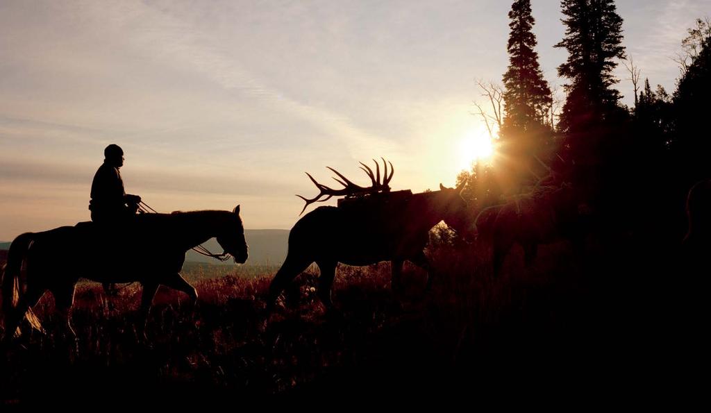 Rocky Mountain Elk Foundation For over 30 years the Rocky Mountain Elk Foundation (RMEF) has remained a leader in wildlife conservation and hunting heritage.