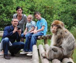 the Trentham Monkey Forest, amaze yourself at