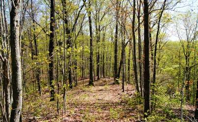 acres Tract 9 Was $1,063,350 Now $853,380 111 +/- acres Tract 10 Was