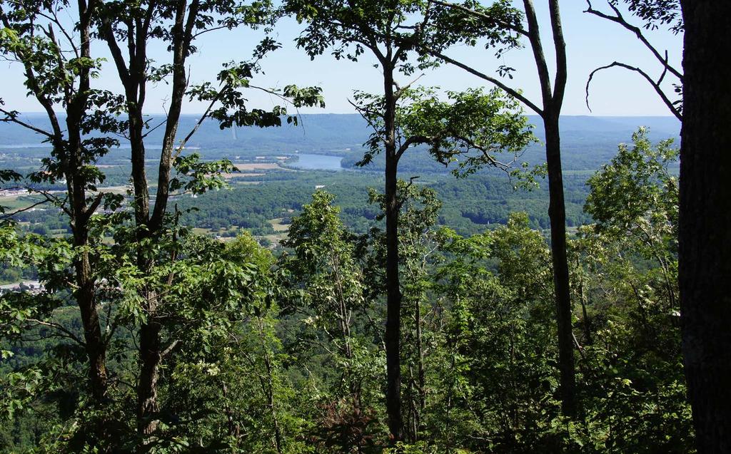JASPER HIGHLANDS Tennessee Mountain Homesites / Land & Acreage / Call 888-777-5758 RB76 $119,900 RB79 $84,900 Lot RB68 / 3.25 Acres RB127 7.