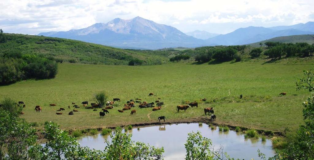 WELCOME TO Buck Point Ranch is a 960± acre property located in one of the last pristine valleys in close proximity to world-class Aspen, Colorado.