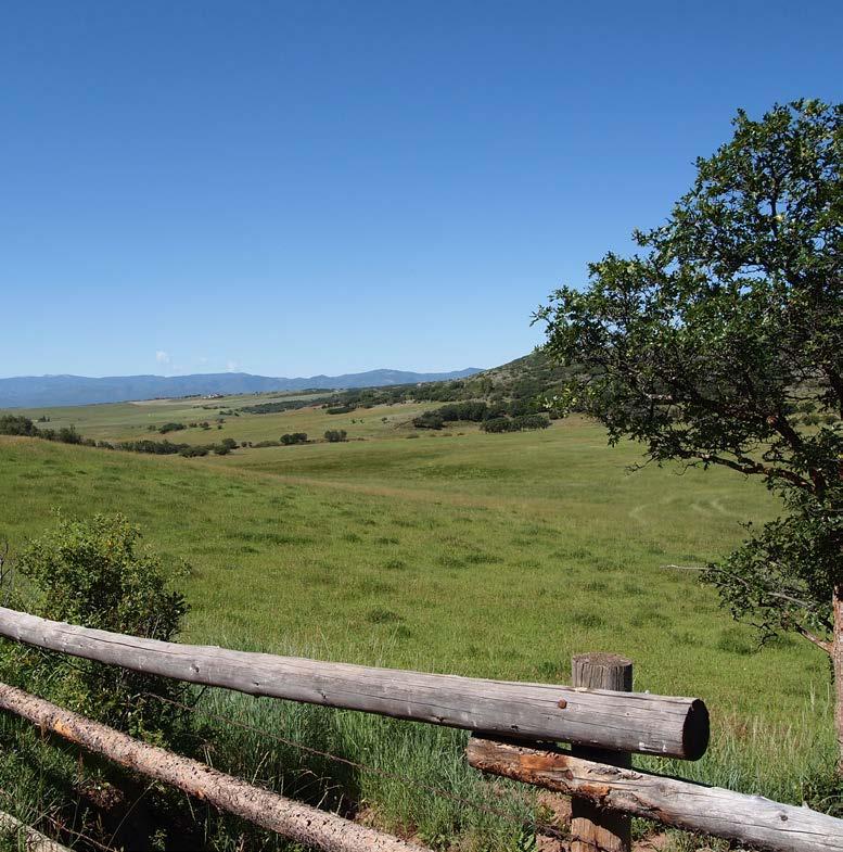 Western Colorado AT ITS BEST End-of- the-road privacy and huge Elk Range views looking over one of the largest