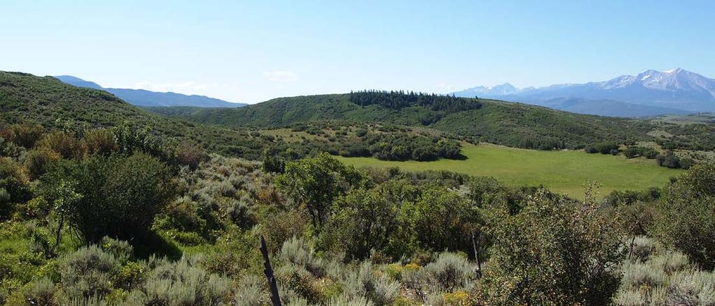 Lay of the Land YOUR OWN SLICE OF COULTER CREEK VALLEY Buck Point Ranch is a 960± acre carve-out of the adjacent landowner s larger, surrounding ranch.