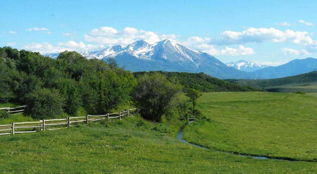BUCK POINT RANCH LOCATION Carbondale, Garfield County, Colorado SIZE 960 +/- deeded acres PRICE Offered for $7,300,000 FOR MORE INFO Scott Davidson, Broker Email: scott@aspenassociatesrealty.