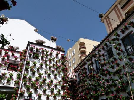 The festival is a competition to discover the most beautiful courtyards in the city, and fills the streets with colour, the scent of jasmine and orange blossom.