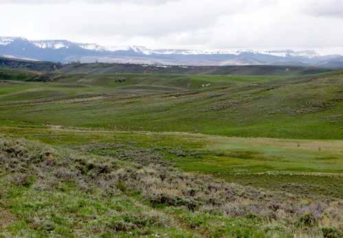 The acreage on the ranch is characterized by several small drainages and plateaus consisting of sagebrush,