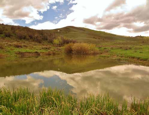 Brinker Creek flows year-round through the property. Several tributaries and irrigation ditches on the ranch fill ponds and water the hay meadows.