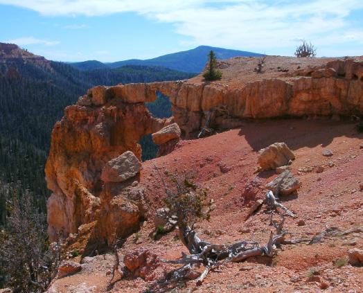 Bartizan Arch Trail Forty-five minutes from Cedar City Spring Creek Canyon Fourteen minutes from Cedar City Fees: $6 entrance fee to Cedar Breaks National Monument Difficulty: Difficult Length: 5.