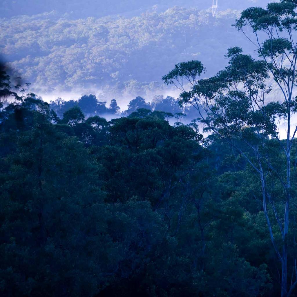 Aussie Bush Adventure Tuesday 3 July Wednesday 4 July After arriving at The Scots College for check-in and lunch, we journey two hours south of Sydney to the pristine Kangaroo Valley to stay at